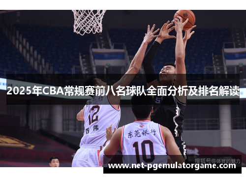 2025年CBA常规赛前八名球队全面分析及排名解读