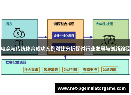 电竞与传统体育成功案例对比分析探讨行业发展与创新路径