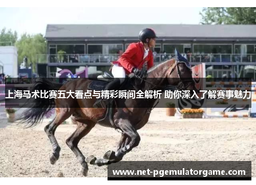 上海马术比赛五大看点与精彩瞬间全解析 助你深入了解赛事魅力