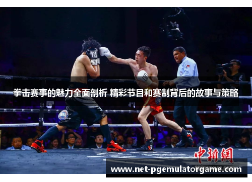 拳击赛事的魅力全面剖析 精彩节目和赛制背后的故事与策略