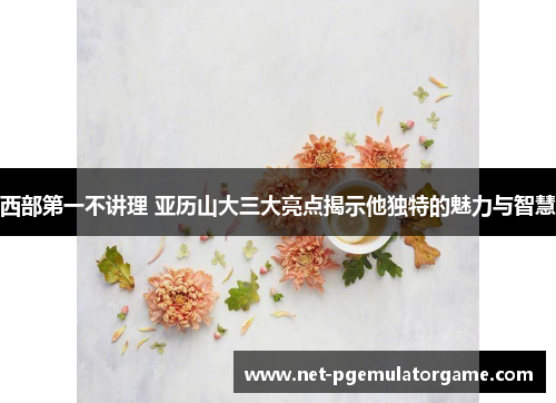 西部第一不讲理 亚历山大三大亮点揭示他独特的魅力与智慧