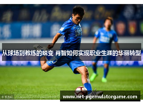 从球场到教练的蜕变 肖智如何实现职业生涯的华丽转型