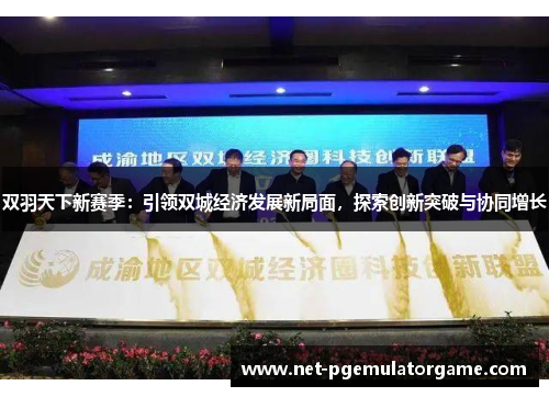 双羽天下新赛季：引领双城经济发展新局面，探索创新突破与协同增长