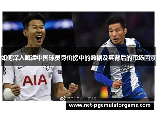 如何深入解读中国球员身价榜中的数据及其背后的市场因素