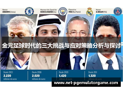 金元足球时代的三大挑战与应对策略分析与探讨