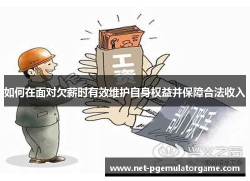 如何在面对欠薪时有效维护自身权益并保障合法收入