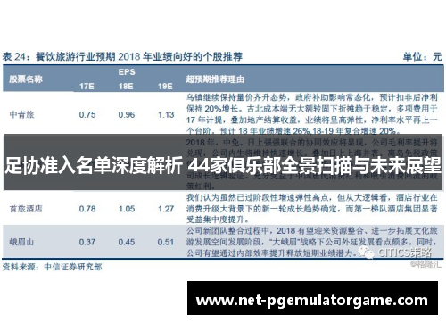 足协准入名单深度解析 44家俱乐部全景扫描与未来展望