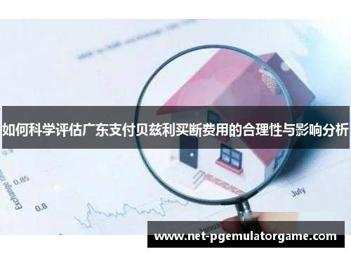 如何科学评估广东支付贝兹利买断费用的合理性与影响分析