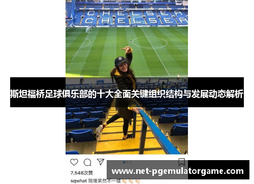 斯坦福桥足球俱乐部的十大全面关键组织结构与发展动态解析