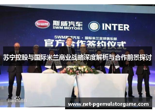 苏宁控股与国际米兰商业战略深度解析与合作前景探讨