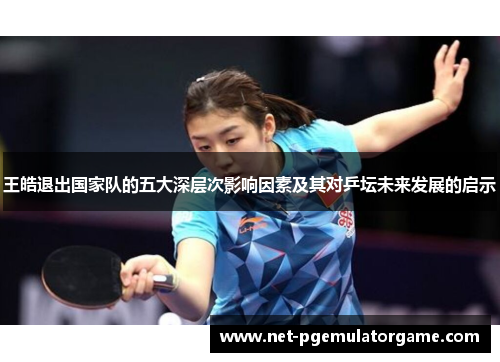 王皓退出国家队的五大深层次影响因素及其对乒坛未来发展的启示