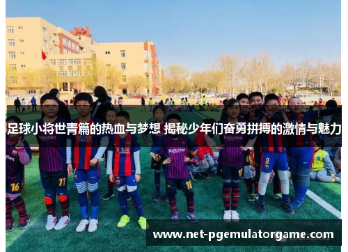 足球小将世青篇的热血与梦想 揭秘少年们奋勇拼搏的激情与魅力