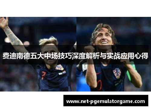 费迪南德五大中场技巧深度解析与实战应用心得 费迪南德五大中场技巧深度解析与实战应用心得