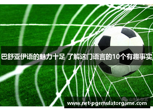 巴舒亚伊语的魅力十足 了解这门语言的10个有趣事实