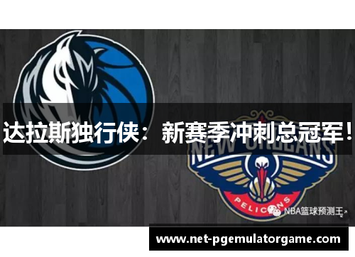 达拉斯独行侠：新赛季冲刺总冠军！