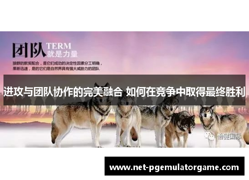 进攻与团队协作的完美融合 如何在竞争中取得最终胜利