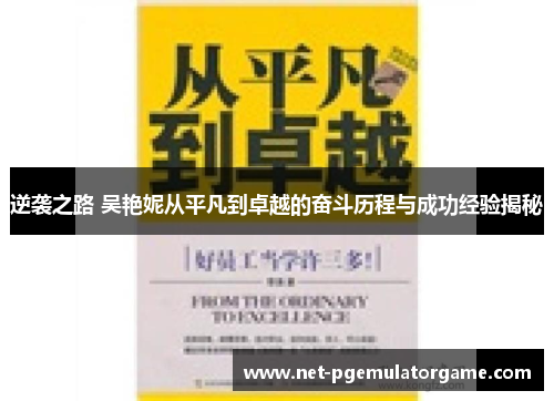 逆袭之路 吴艳妮从平凡到卓越的奋斗历程与成功经验揭秘