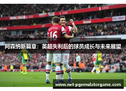 阿森纳新篇章:英超失利后的球员成长与未来展望 阿森纳新篇章:英超失利后的球员成长与未来展望
