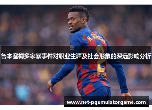 鲁本塞梅多家暴事件对职业生涯及社会形象的深远影响分析