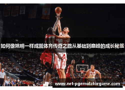如何像姚明一样成就体育传奇之路从基础到巅峰的成长秘笈