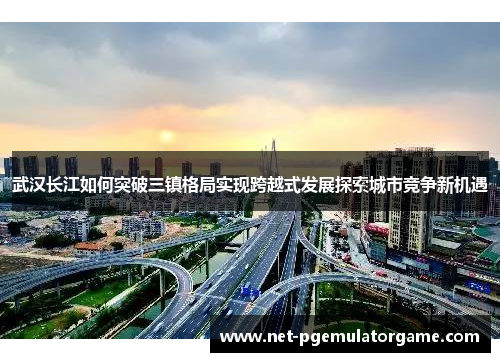 武汉长江如何突破三镇格局实现跨越式发展探索城市竞争新机遇