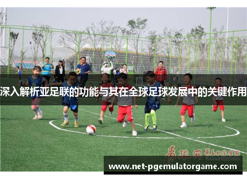 深入解析亚足联的功能与其在全球足球发展中的关键作用