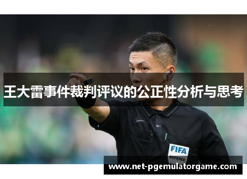 王大雷事件裁判评议的公正性分析与思考