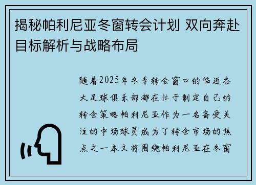 揭秘帕利尼亚冬窗转会计划 双向奔赴目标解析与战略布局